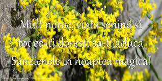 Sânzienele, sărbătoarea de la cumpăna anului. Mesaje De Sanziene Mult Noroc Viata Senina Si Tot Ce Iti Doresti Sa Ti Aduca Sanzienele