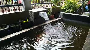 Pastikan kolam ikan koi tersebut memiliki banyak cadangan oksigen, sehingga ikan koi tersebut dapat tumbuh dan berkembang dengan baik. Waterfall Diy Air Terjun Kolam Ikan Koi Buatan Sendiri Youtube