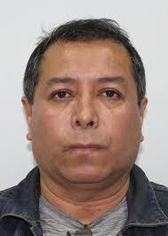 Ingresos de Otorongos Elecciones 2022