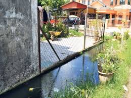 Cubaan dua lelaki seludup daun ketum ke lembah kelang tumpas. Penduduk Penat Buat Aduan Detik Perubahan