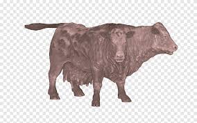 Free shipping on qualified orders. Fallout 4 Fallout 3 Fallout New Vegas Brahman Cattle Fall Out 4 Cow Goat Family Wildlife Png Pngegg