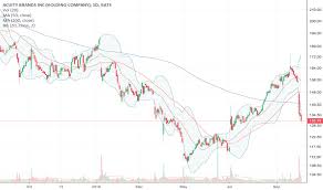 Ds is a developer and manufacturer of lighting components including. Ayy Tradingview