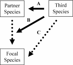 Here are some tips for you! Interplay Between Ecological Communities And Evolution Haloin 2008 Annals Of The New York Academy Of Sciences Wiley Online Library