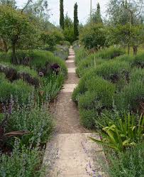 A Day With The Italy Branch Of The Mediterranean Garden Society La Dolce Vita Mediterranean Garden Mediterranean Landscaping Public Garden Design