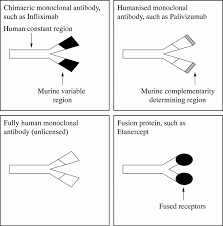 Mab treatment can lower the amount of virus in your body, reduce symptoms and help avoid a trip to the hospital. Clinically Useful Monoclonal Antibodies In Treatment Journal Of Clinical Pathology