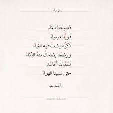 شعر أحمد مطر فصيحنا ببغاء عالم الأدب Math