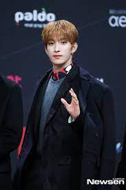 Ada bts, twice, seventeen, nct, dan lainnya. Dk Mama Red Carpet 2020 Seventeen Seventeen Kpop Mnet Asian Music Awards