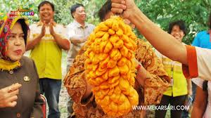 Check spelling or type a new query. Kekayaan Buah Buahan Nusantara Di Taman Buah Mekarsari Youtube