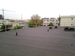 Nu toţi beneficiarii de locuinţe în blocurile anl se bucură de confortul aşteptat. Odu Green Roof AcoperiÈ Verde Pe Un Bloc Vechi Din BucureÈti