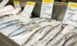 Fish market houtbay pictures : Snoekies Fish Market In Hout Bay Cape Town South Africa Retail Full Details