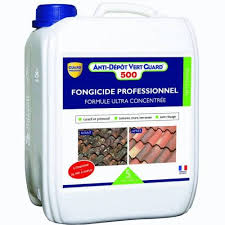 Scopri ricette, idee per la casa, consigli di stile e altre idee da provare. Quel Produit Pour Nettoyer Naturellement Le Gravier De L Allee Tout Pratique