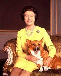 Royalty And Pomp The Animal H M Queen Elizabeth Ii Of Great Corgi Queen Corgi Elizabeth Ii