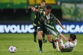 Palmeiras palmeiras, minha vida é você! Oovnw2ne58xilm