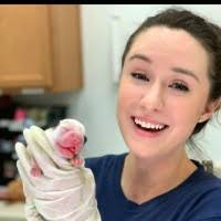 100+ "Yahne" profiles