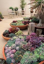 Cactuses are amazing plants and can help to make your front yard to stand out. 23 Awesome Succulent Porch Garden Ideas To Boost Curb Appeal