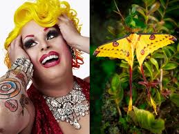 Favorite Dragalia Lost ship combinations?