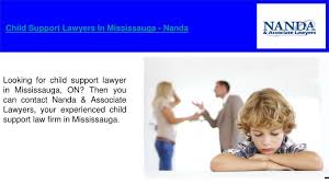 Federal child support guidelines for payment for 0 percent time spent are automatically higher than state counterparts. Ppt Child Support Lawyers Mississauga Powerpoint Presentation Free Download Id 7986479