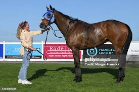 Image result for Handic 64