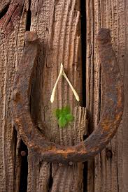 Image result for lucky horseshoe