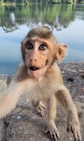 Carbzilla family outing with kids