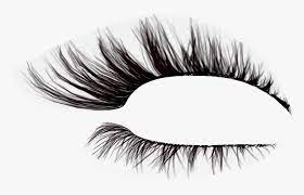 Png transparency creator examples click to use. Transparent Eyelashes Png Png Download Transparent Png Image Pngitem
