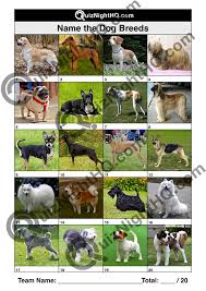 Zoo animals cars, trucks & engines tv, film & music all about you! Dog Breeds 001 Quiznighthq