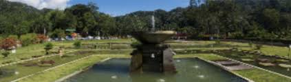 Check out the best tours and activities to experience penang botanical gardens (taman botani penang). Penang Botanic Gardens Museum Volunteers Jmm