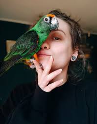 Please change background to the jungle 🌿