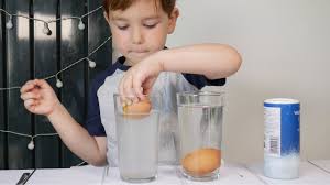 salt water egg experiment youtube