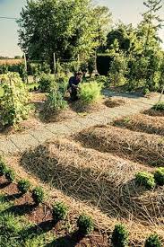 Permaculture And Sustainability Silent Pines Retreat Permaculture Gardening Permaculture Organic Gardening Tips