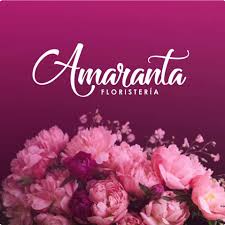 Die Rose Home Facebook La forma femenina, amaranta, tiene cierta notoriedad por los dos personajes de cien años de soledad, de gabriel garcía. facebook