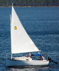 Résultat de recherche d'images pour "cat boat"