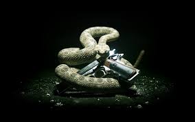 Maybe you would like to learn more about one of these? 42 Moving Snake Wallpaper On Wallpapersafari