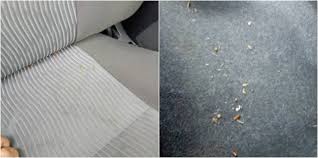 Lipas dalam kereta memang masalah besar buat pemilik kereta, terutama mereka yang pantang nampak serangga tersebut. Hilangkan Lipas Yang Bersarang Di Dalam Kereta Dengan 8 Cara Mudah Ini
