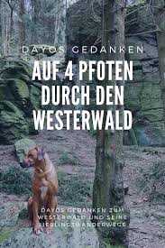 Dayos Gedanken Auf Vier Pfoten Durch Den Westerwald Hunde Reisen Mehr Hund Reisen Urlaub Mit Hund Hunde