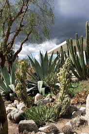 Los Angeles Cactus Garden Garden Design Cactus Garden Cactus Garden Landscaping Succulent Landscaping