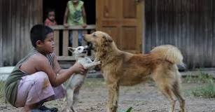 Image result