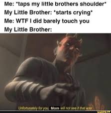 Me Taps My Little Brothers Shoulder My Little Brother Starts Crying Me Wtf I Did Barely Touch You My Little Brother Ifunny Love Memes Funny Laughing So Hard Stupid Memes