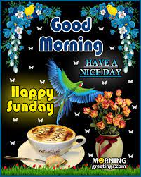 So we have shared the best collection of good morning sunday images, wishes & quotes to kickstart your day. 50 Good Morning Happy Sunday Images Morning Greetings Morning Quotes And Wishes Images