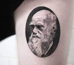 Tattoo crew is a professional tattoo shop that offers a wide range of creative tattoo collection according to your preferences. Darwin Tags Tattoo Ideas World Tattoo Gallery