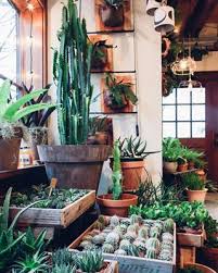 How To Plant In A Pot Without Drainage Holes Terrarium Plants Indoor Plants Plants