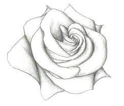 The heart symbol is recognized around the world as a sign of love and compassion. Image Result For Easy Sketches Of Flowers Flowers Image Result Sketches Pencil Sketches Easy Pencil Drawings Easy Flower Sketches