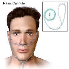 We haven't had any issues with their products, and this is the second time i've ordered these cannulas from them. Adult Straight Prong Infant Nasal Cannula For Clinical Hospital Etc Id 22995732448