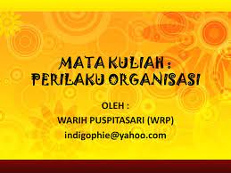 Perilaku organisasi juga dikenal sebagai studi tentang organisasi. Mata Kuliah Perilaku Organisasi Ppt Download
