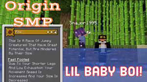 It allows players to choose an origin at the beginning of the game, which grants them different what is considered meat is defined via a tag (origins/tags/items/meat), so you can add modded foods in there if you want. Wiidude S Custom Origins Mod Mods Minecraft Curseforge