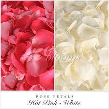 Rose Petals Hot Pink And White Rose Petals Bulk Flowers Online Petals