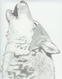 To begin drawing your howling wolf, start with the head and the neck. Pencil Simple Wolf Howling Drawing