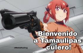 ¡en #tamaulipas hay gobernador, hay líder y hay futuro! Meme De Chale El Otro Meme Era Animemes