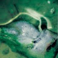 Pool｜音楽CD・DVD｜HMV&BOOKS online