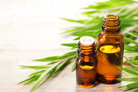 Using tea tree oil is therapeutic for hair. 10 Benefits Of Tea Tree Essential Oil For Skin Hair And Health Isabella S Clearly